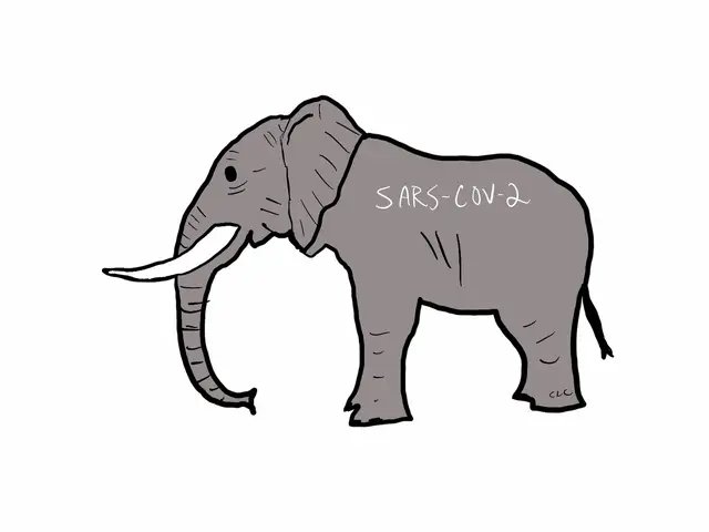 The largest elephant on the planet is having an identity crisis. #fyp #fyppppppppppppppppppppppp #sarscov2 #elephant #covid19 