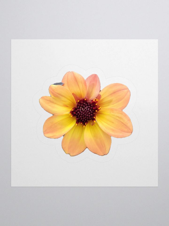 Flower Stickers v3 product image (2)