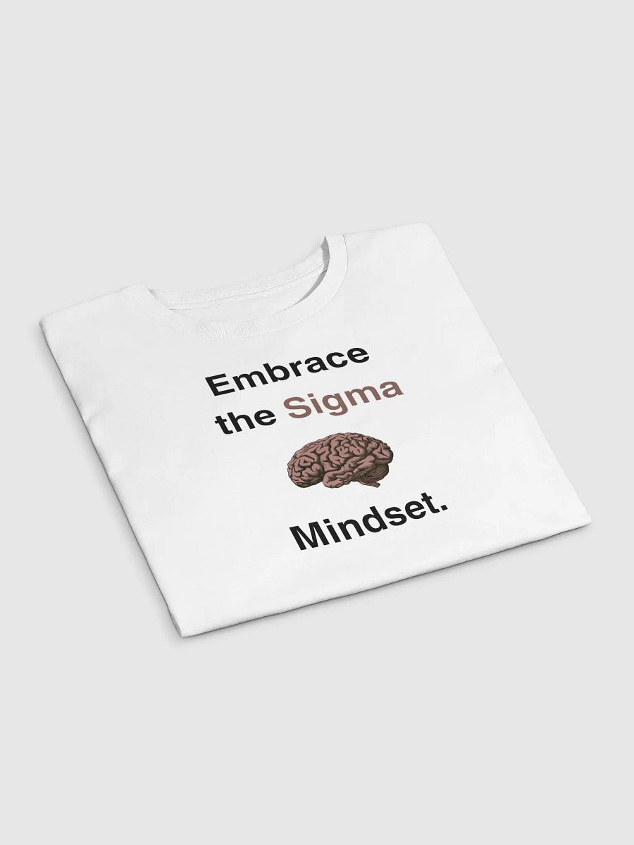 Embrace the Sigma Mindset product image (13)