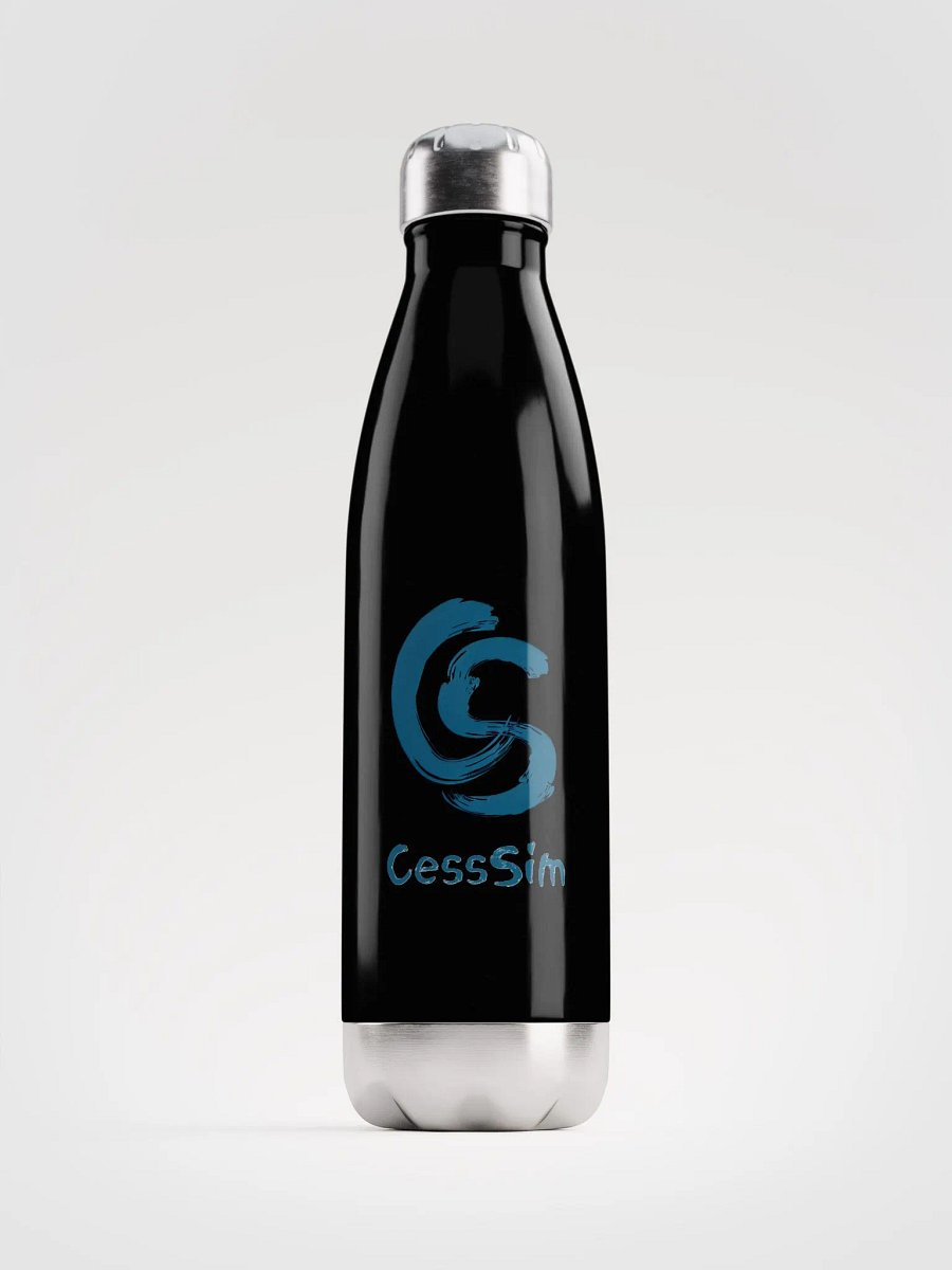 Black Glossy Water Bottle product image (1)