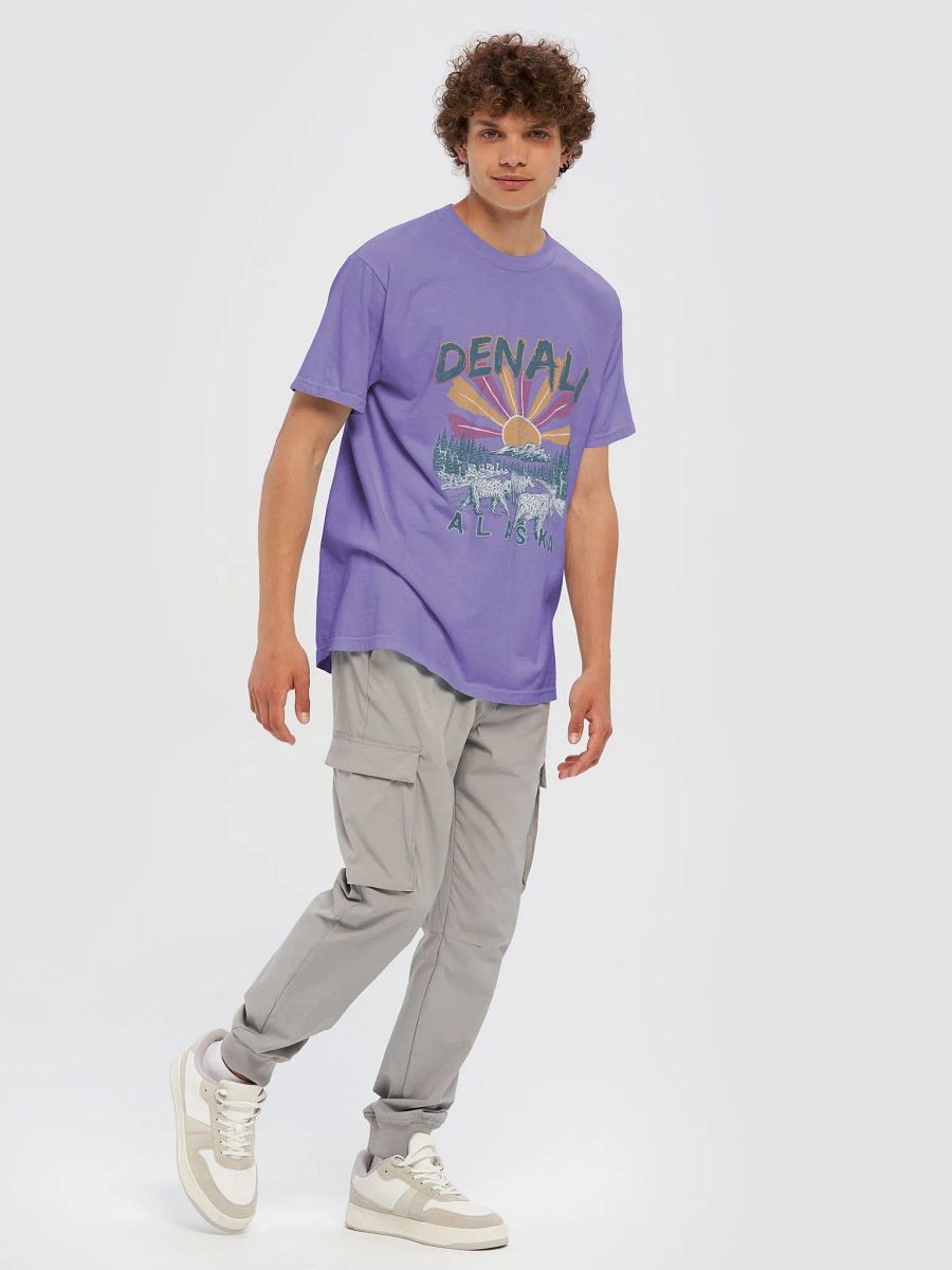 Denali National Park, Alaska Tee | Retro-Style Western T-Shirt for Travel and Road Trips product image (52)