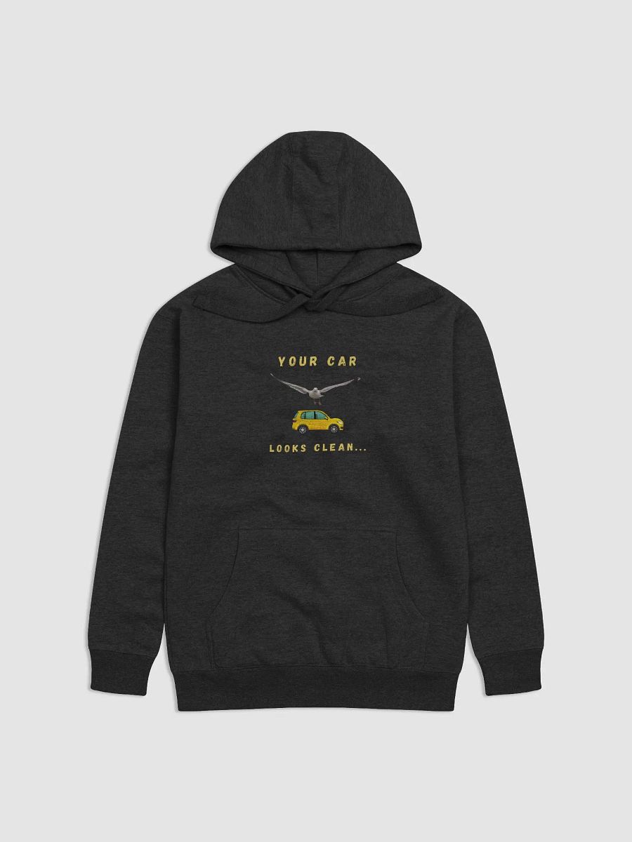 Your Car Looks Clean... Seagull Hoodie product image (1)