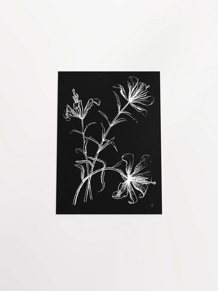 Ethereal Blooms Matte Poster - Wild Elegant Flowers Dark product image (4)