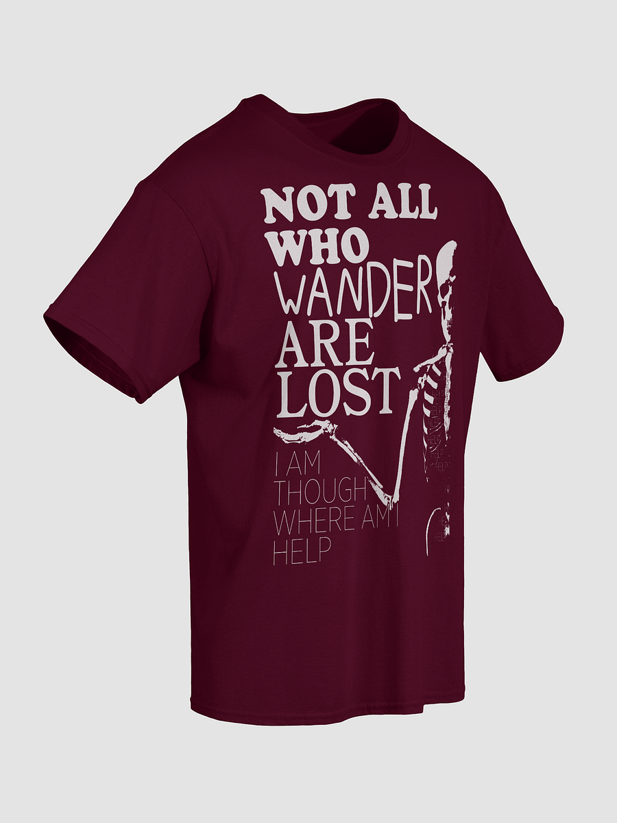 NOT ALL WHO WANDER product image (4)