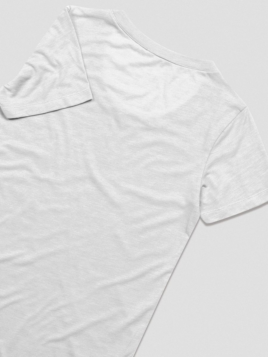 Vintage University T-Shirt (Women's Triblend) product image (8)