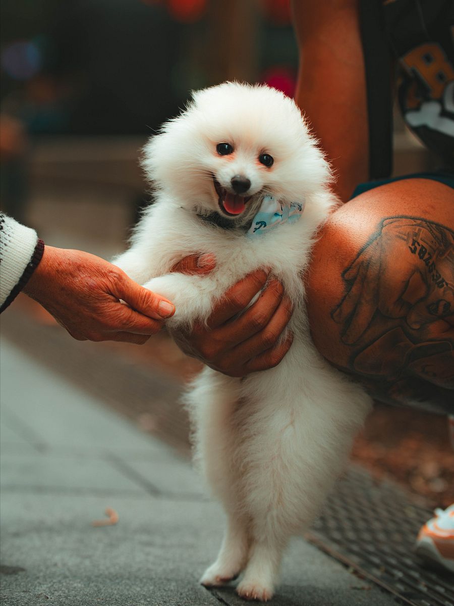 The $2 Lightroom Preset product image (3)