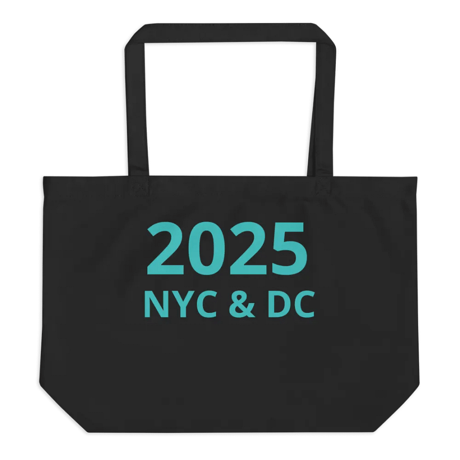 2025 NYC & DC Trip: Bag product image (1)