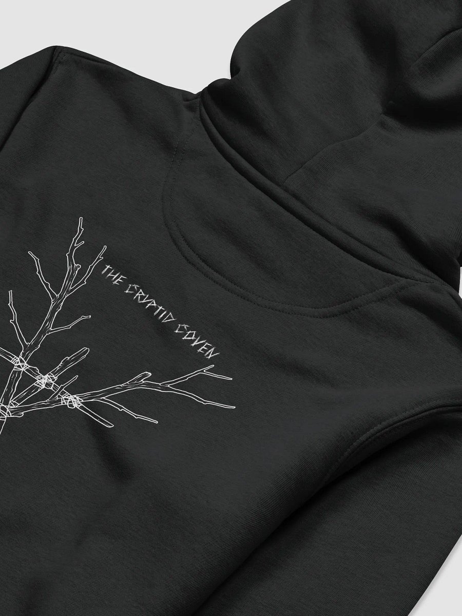 Blood Sigil Eco Hoodie product image (4)