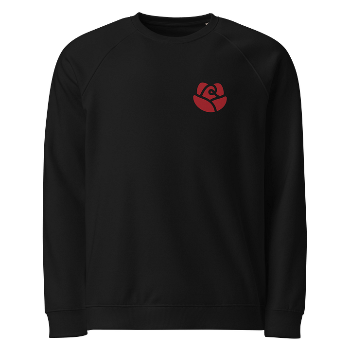 SOL'S Unisex Organic Raglan Sweatshirt product image (1)