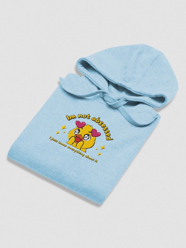 Embroided Obsession Confession Hoodie (Large Logo) product image (22)