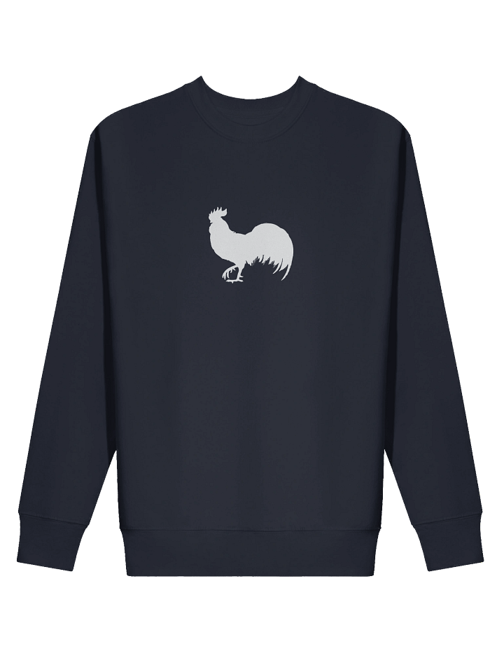 VBC Crewneck Sweatshirt product image (2)