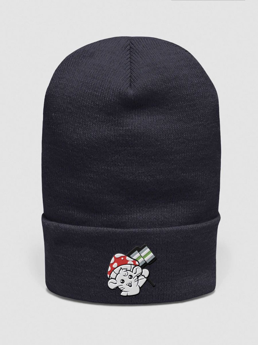 Agender beanie product image (1)