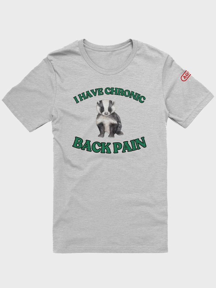 Chronic Back Pain Tee (Ships Worldwide) product image (5)