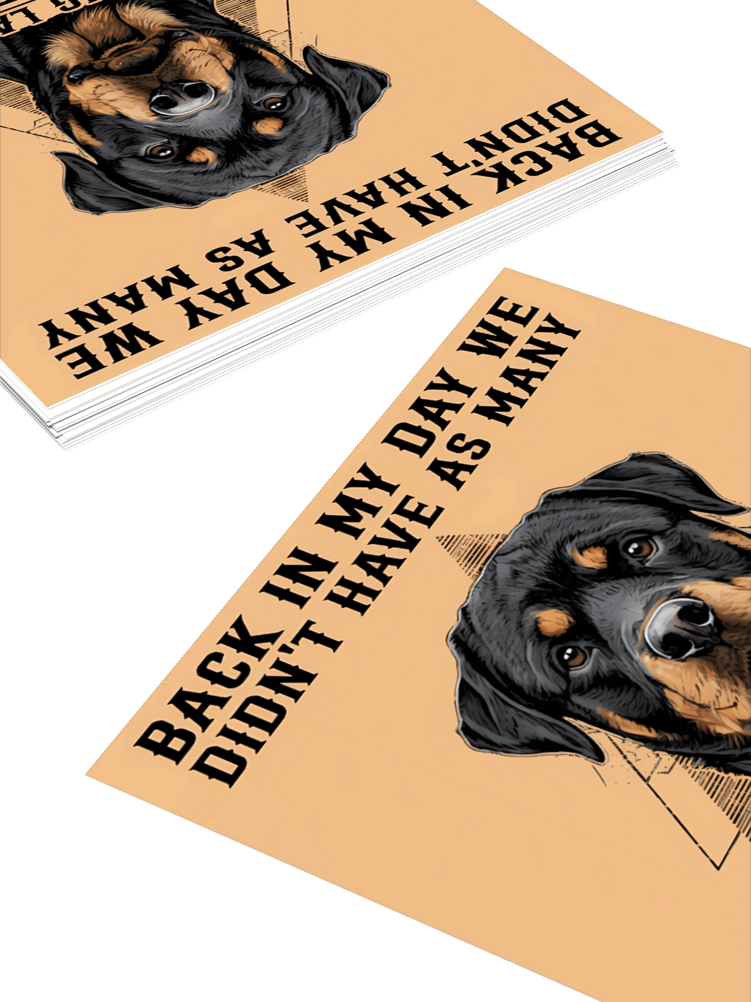 Rottweiler Warning Sticker product image (11)