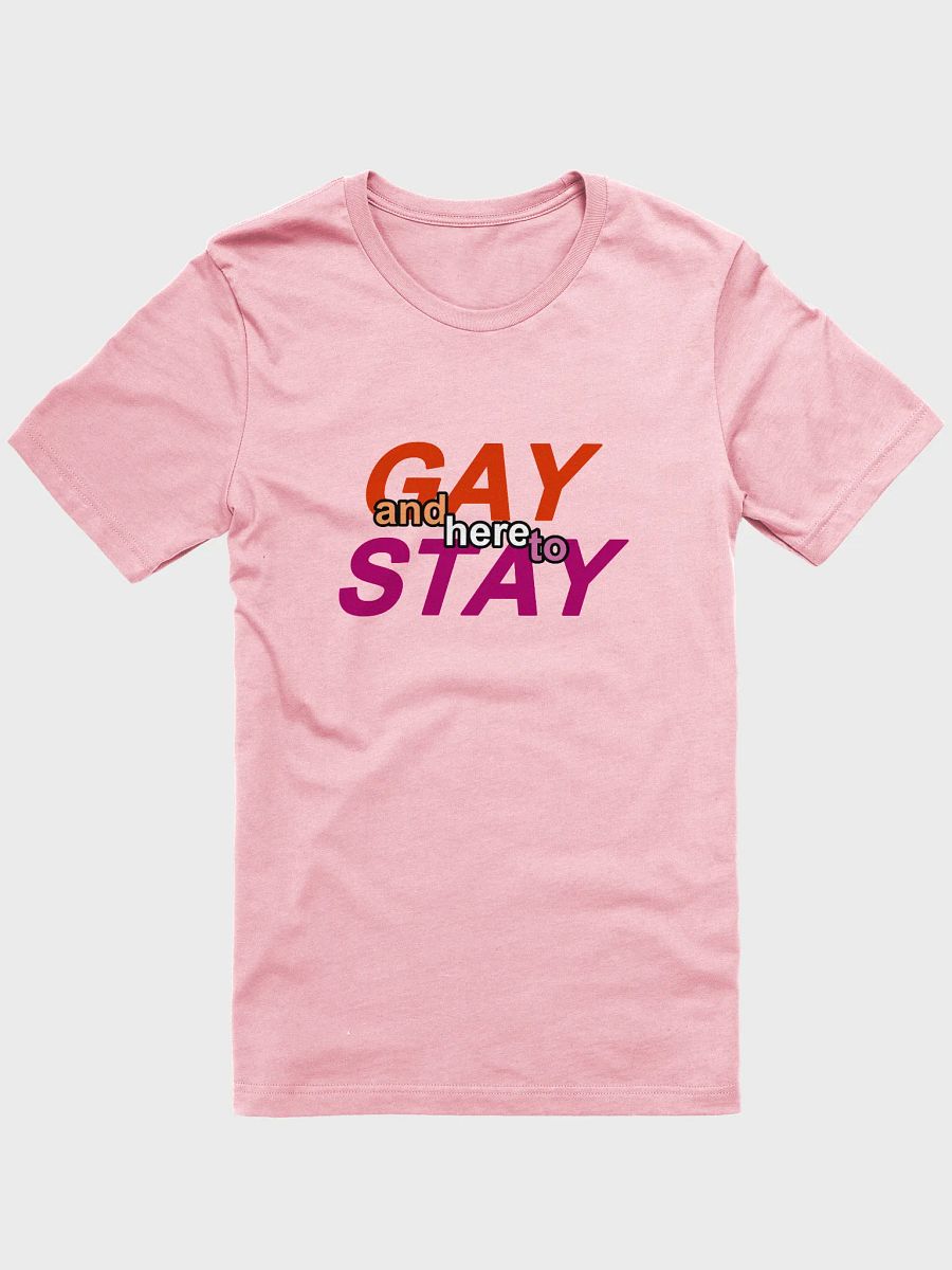 gay and here to stay (lesbian) t-shirt product image (1)