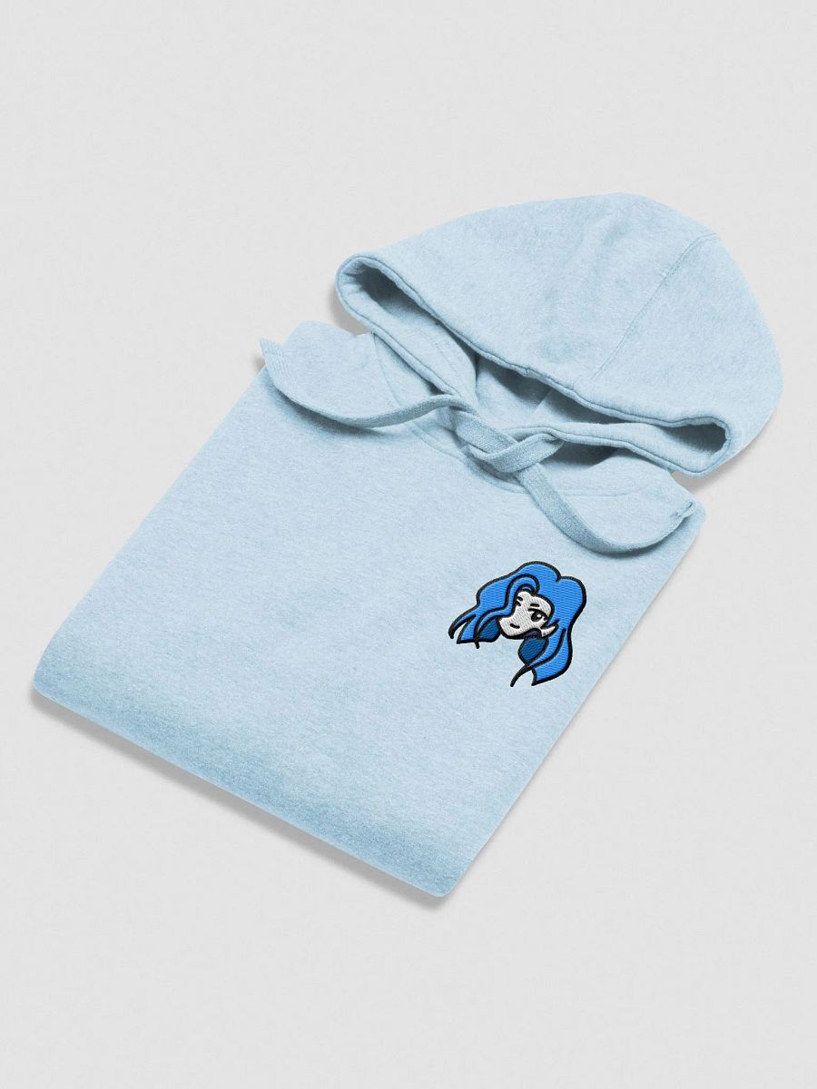 BiS Estelle Embroidered Hoodie (zzZ) +12 Alt. Colors product image (4)