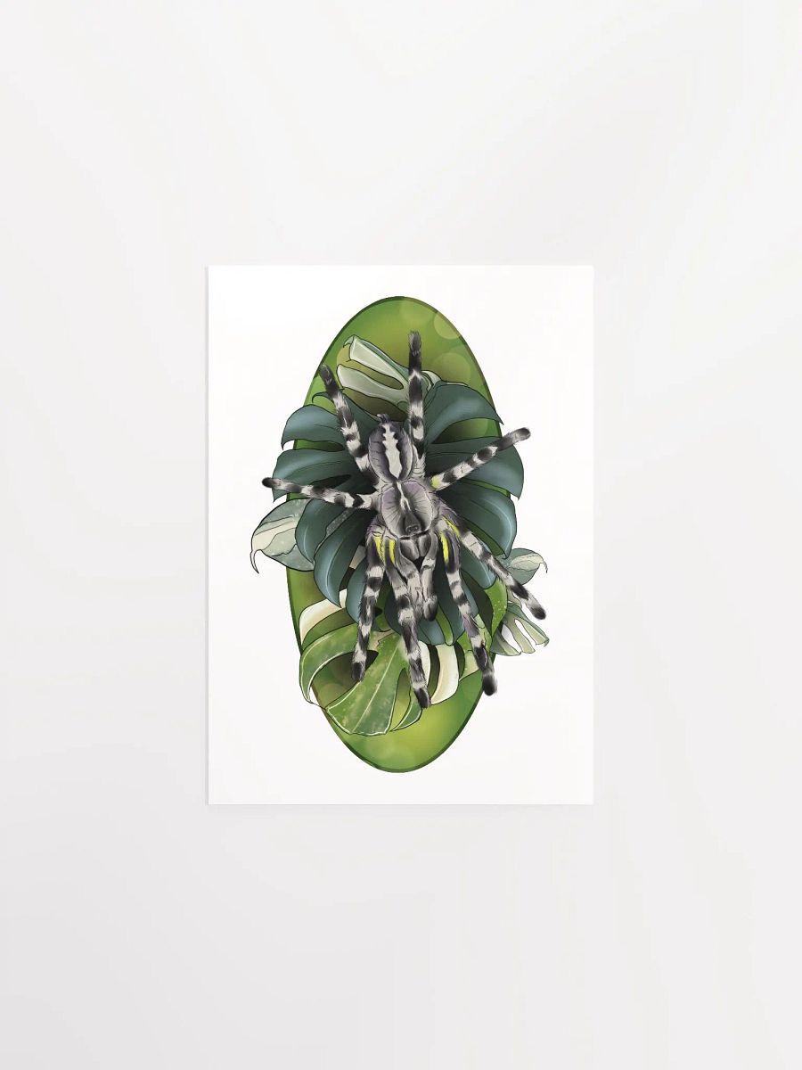 Poecilotheria Regalis and Monstera product image (1)