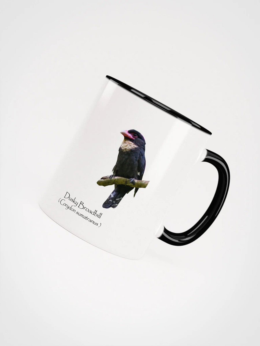 Dusky Broadbill product image (32)