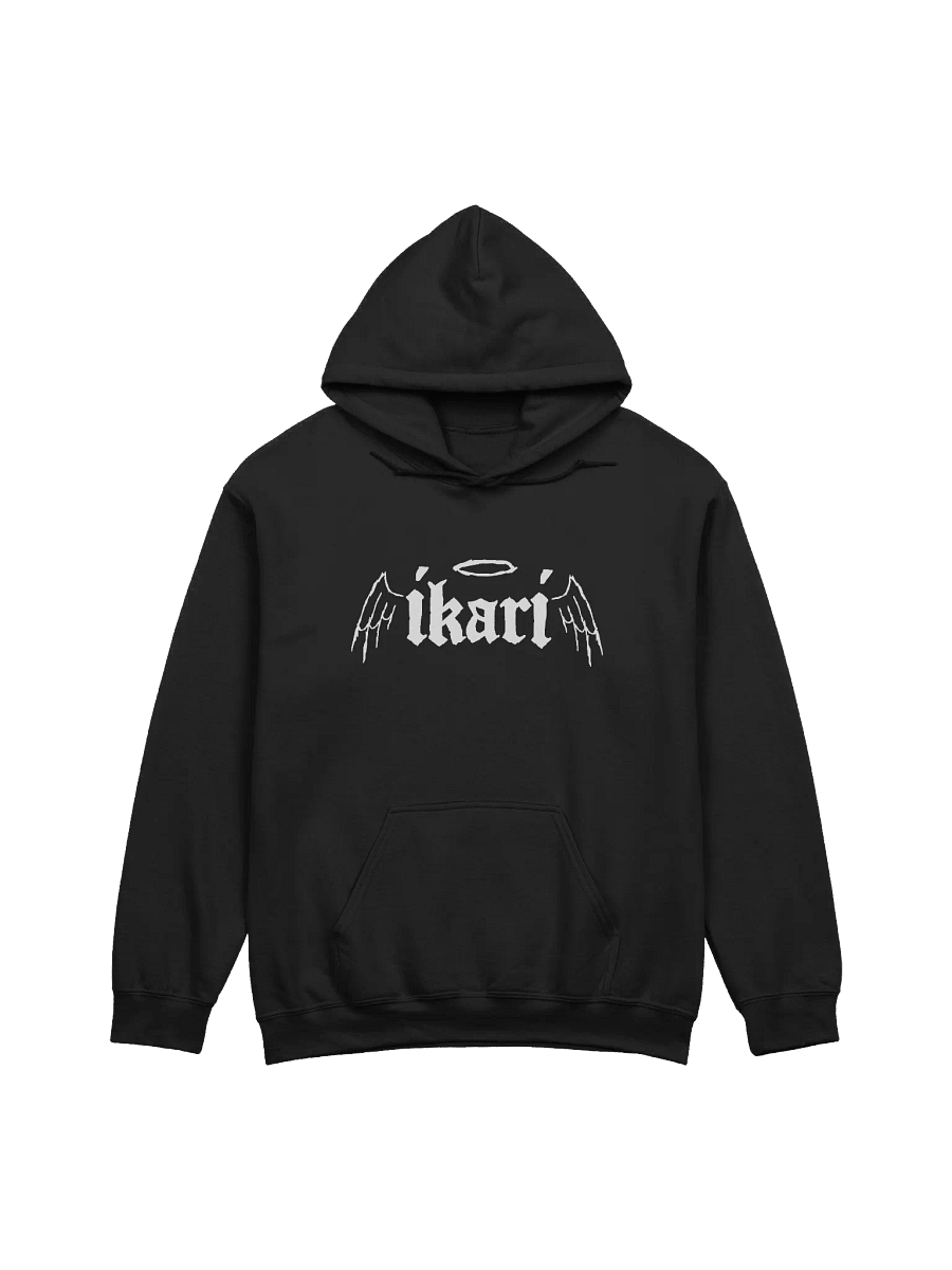 WINGS LOGO HOODIE product image (1)