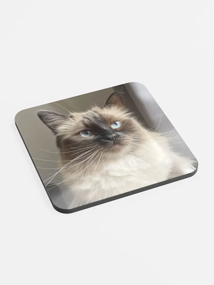 Lilith Coaster product image (2)