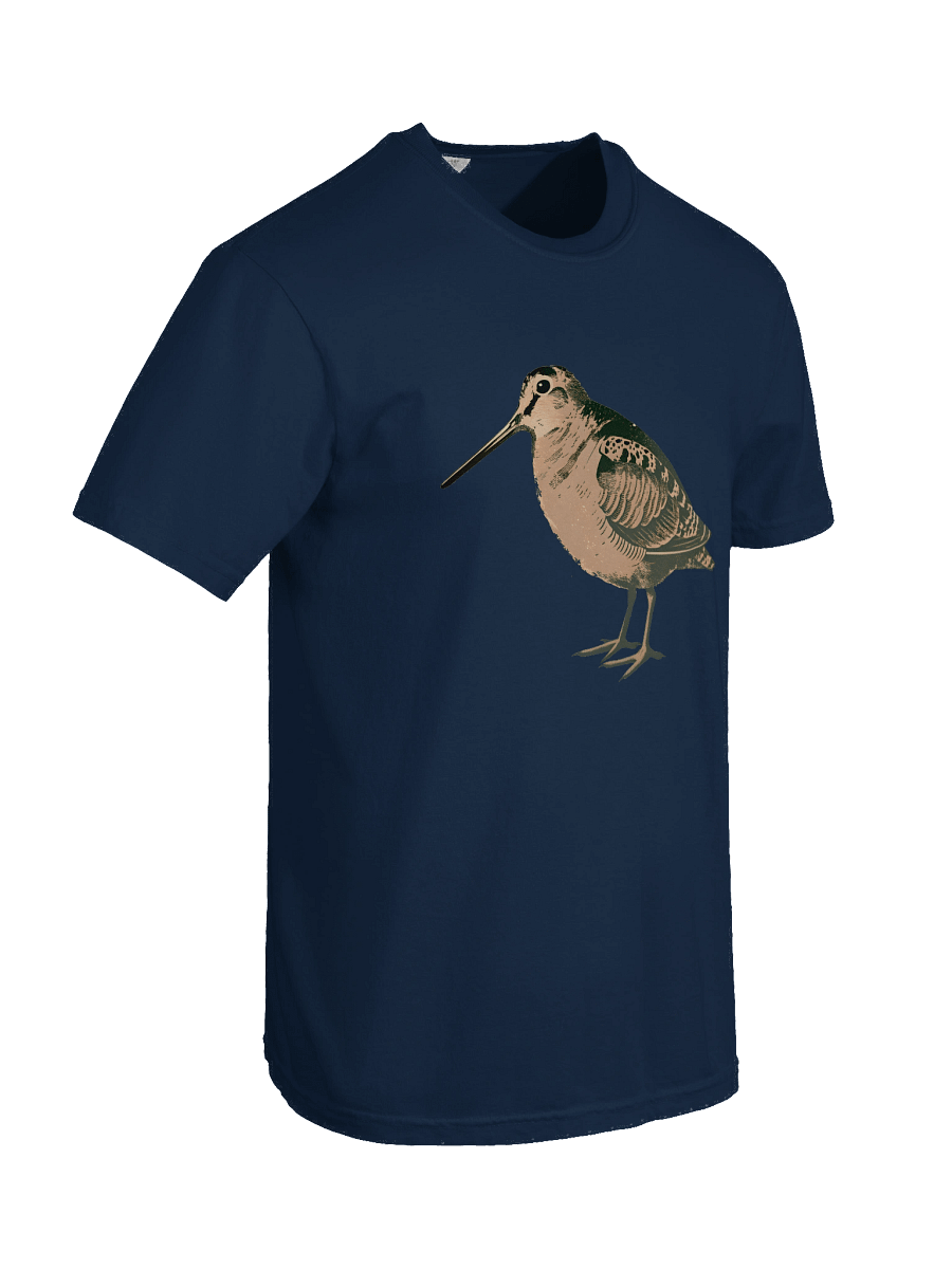 Woodcock Bird Garment Dyed Tee product image (77)