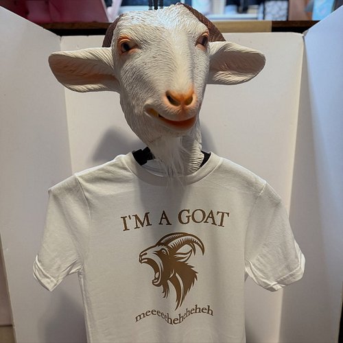 Last minute costume change requested by the oldest spawn.