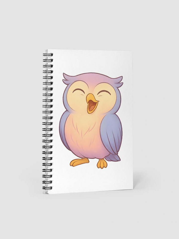 Feathers and Feelings product image (1)
