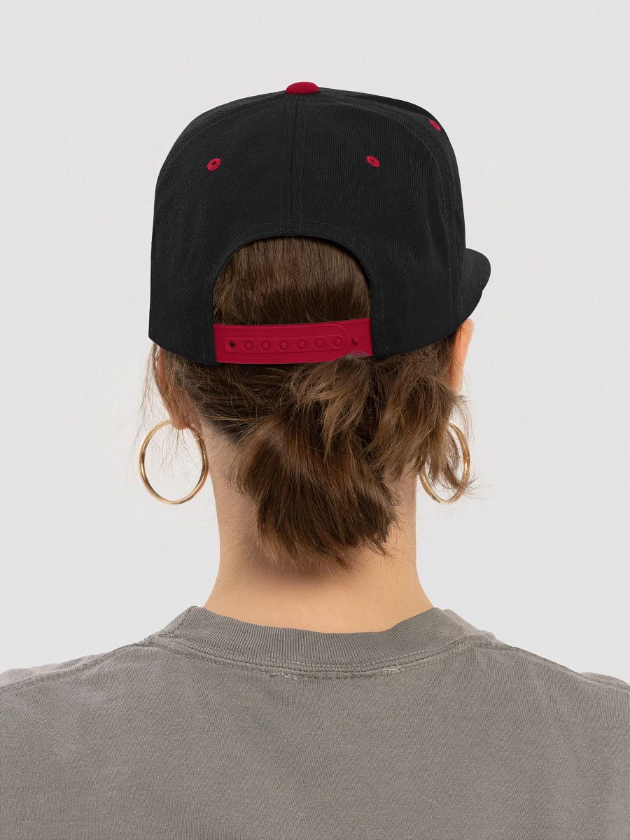ArchiveBox Snap-Back Hat product image (7)