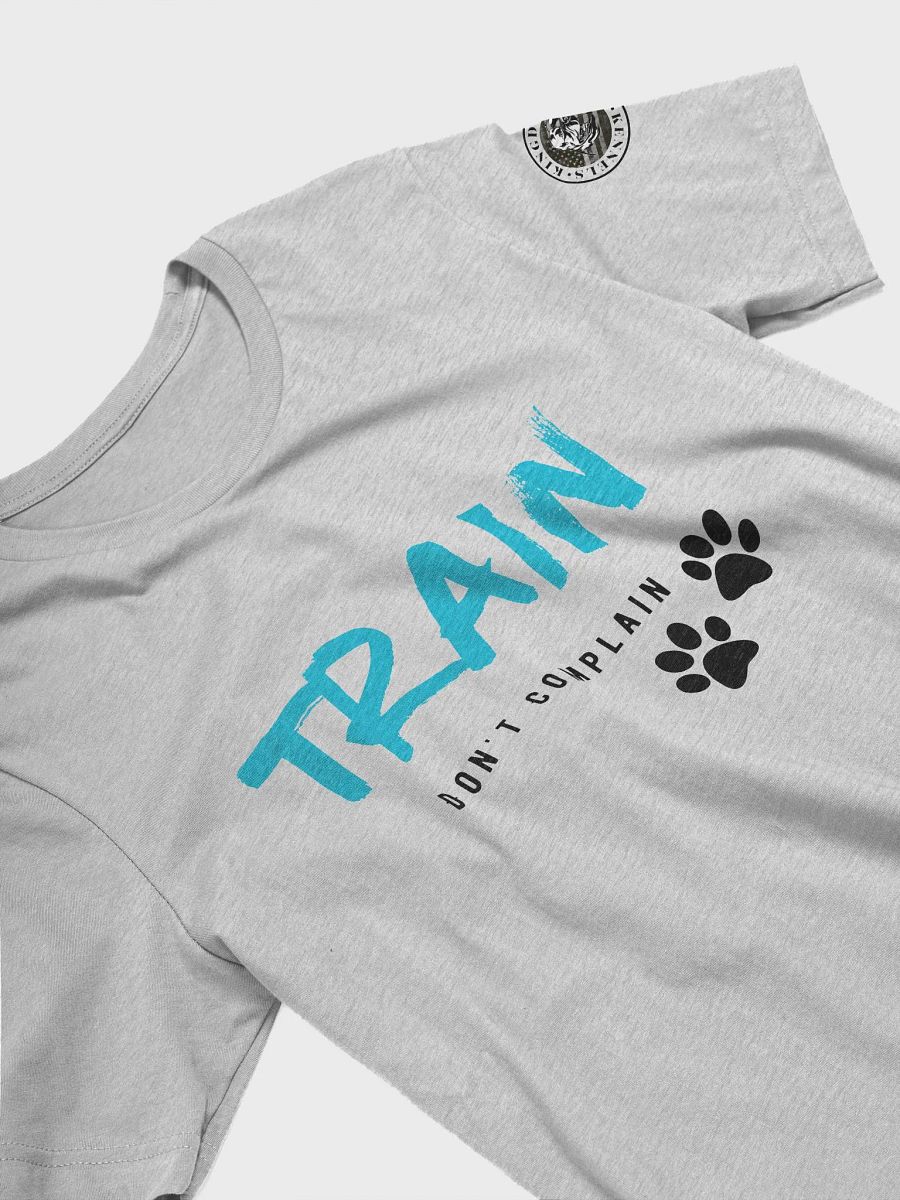 Train, Dont Complain (teal) product image (3)