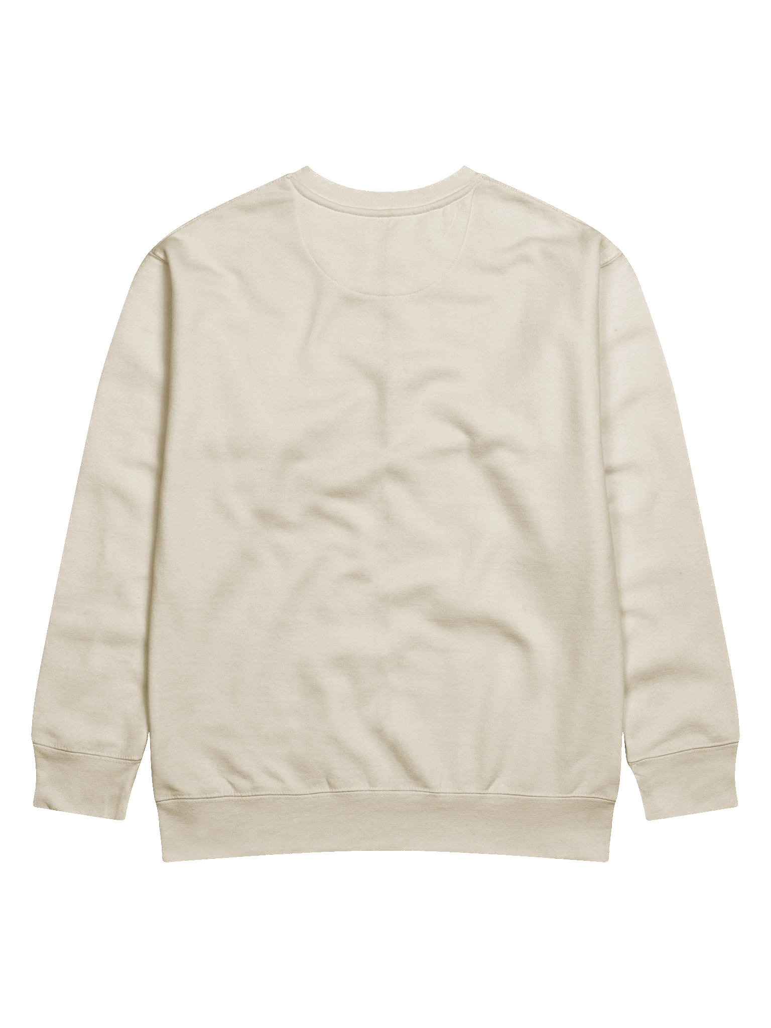 Later Gator Premium Sweatshirt product image (60)