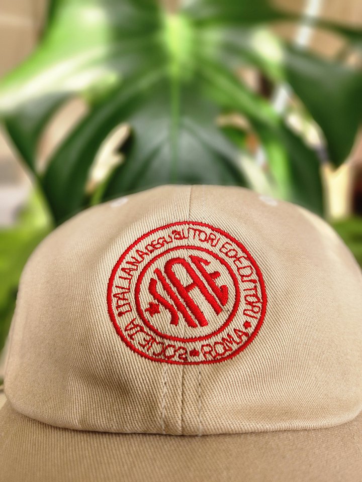 Embroidered SIAE dad hat product image (2)