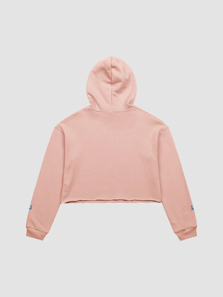 Akuma Miko Crop Hoodie product image (2)