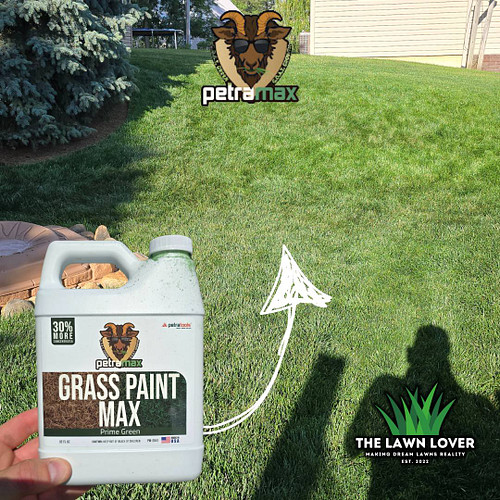 I have this problem area in my backyard that always dries out quickly even with regular watering. I try to avoid pounding thi...
