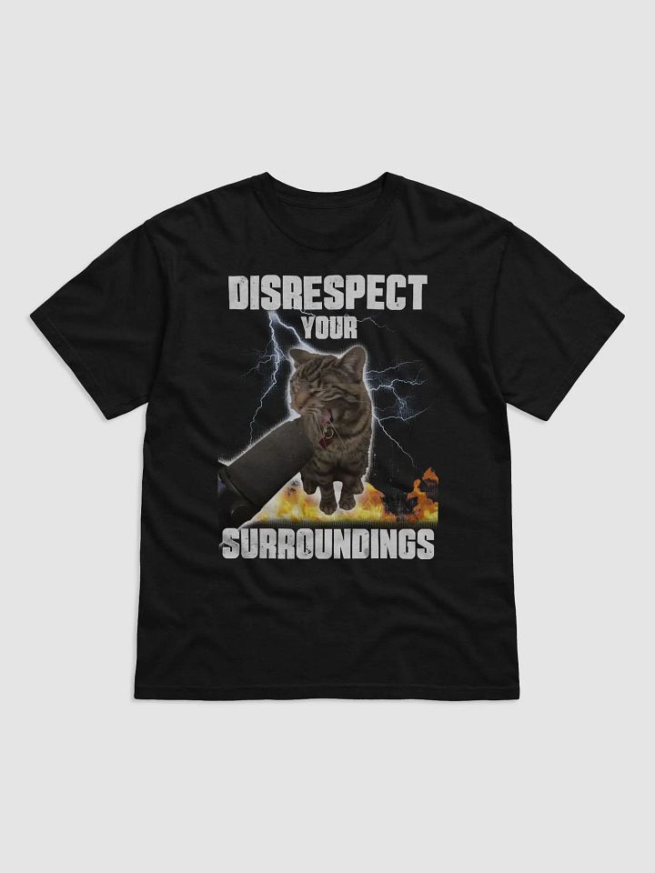 Laina's Disrespect Tee product image (1)