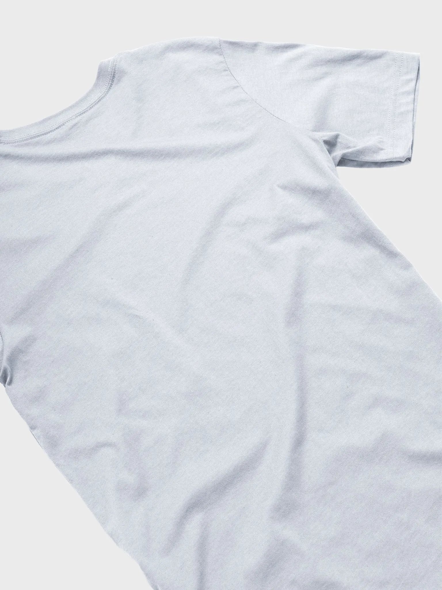 Squirrels at Arms Tee product image (4)