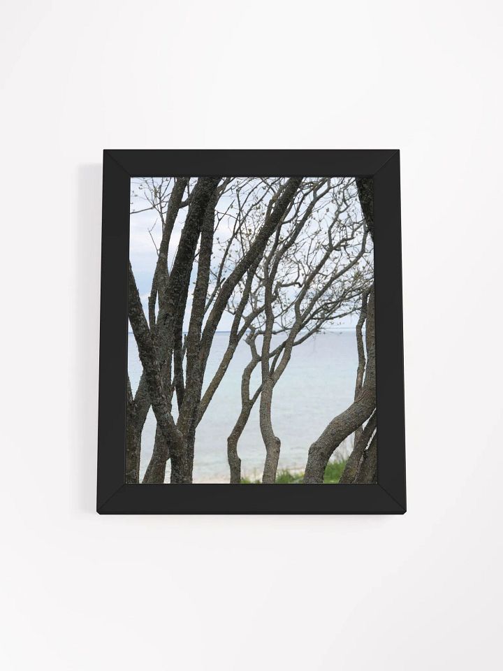 Winding Branches High Quality Matte Poster product image (1)