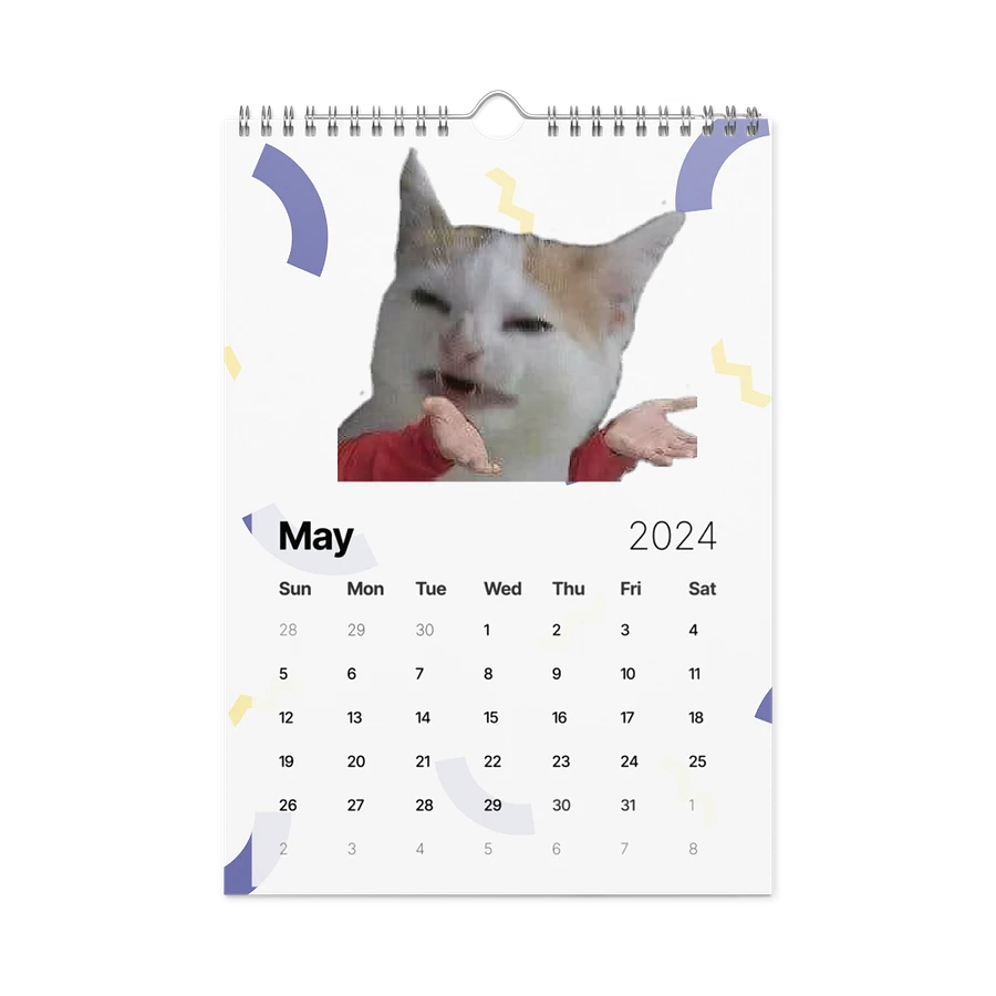 Wall Calendar (2024): Meme Cats product image (14)