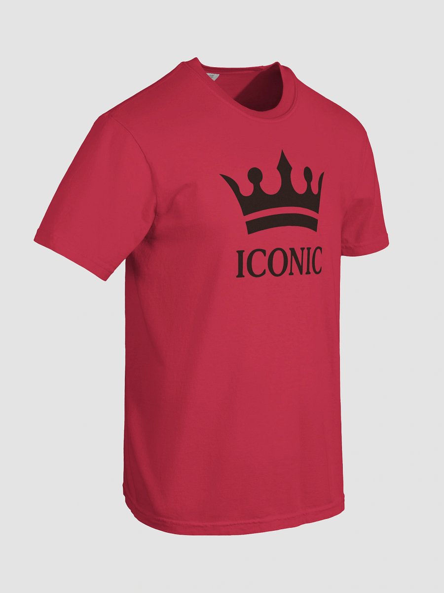 ICONIC Black Logo T-Shirt product image (8)