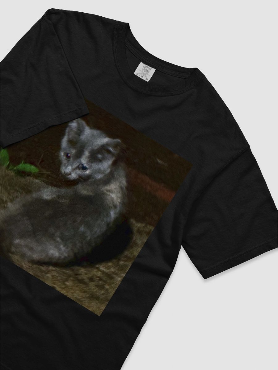 Whiskered Tee product image (8)
