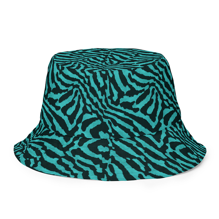 Teal Zebra Hat product image (1)