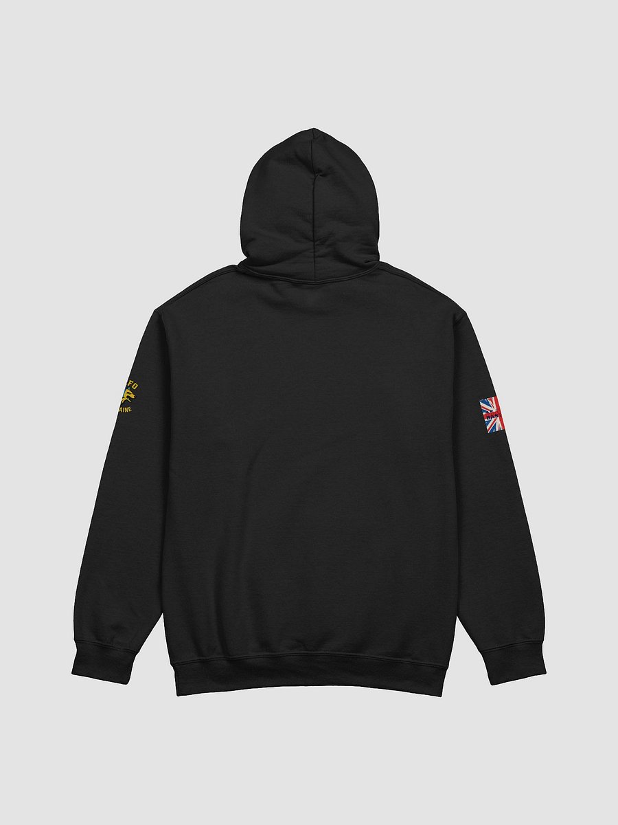 Rebellious Union Jack Distressed NAFO Hoodie product image (17)