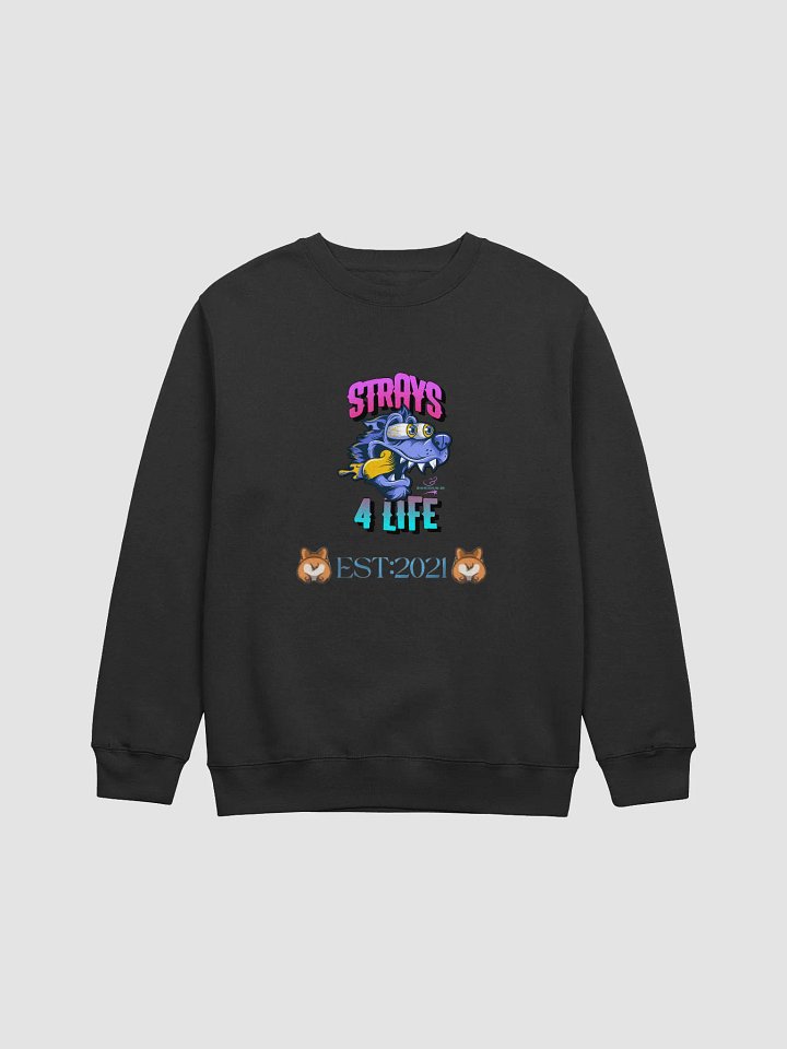 EST Streetwear Sweatshirt product image (4)