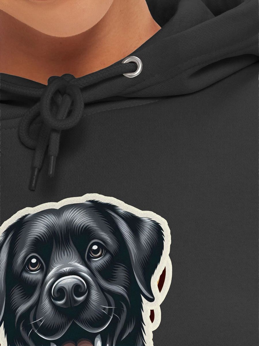 Fun Labrador Life Premium Hoodie product image (49)