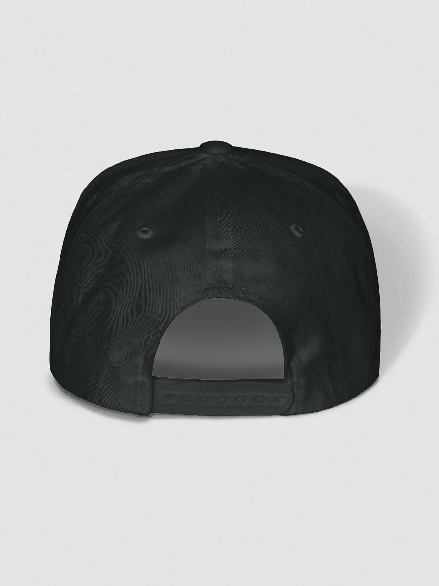 PlatHub Snapback product image (12)