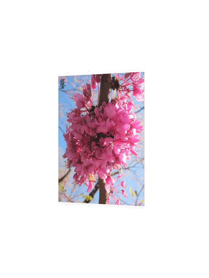 Pink Flowers on a Tree product image (4)