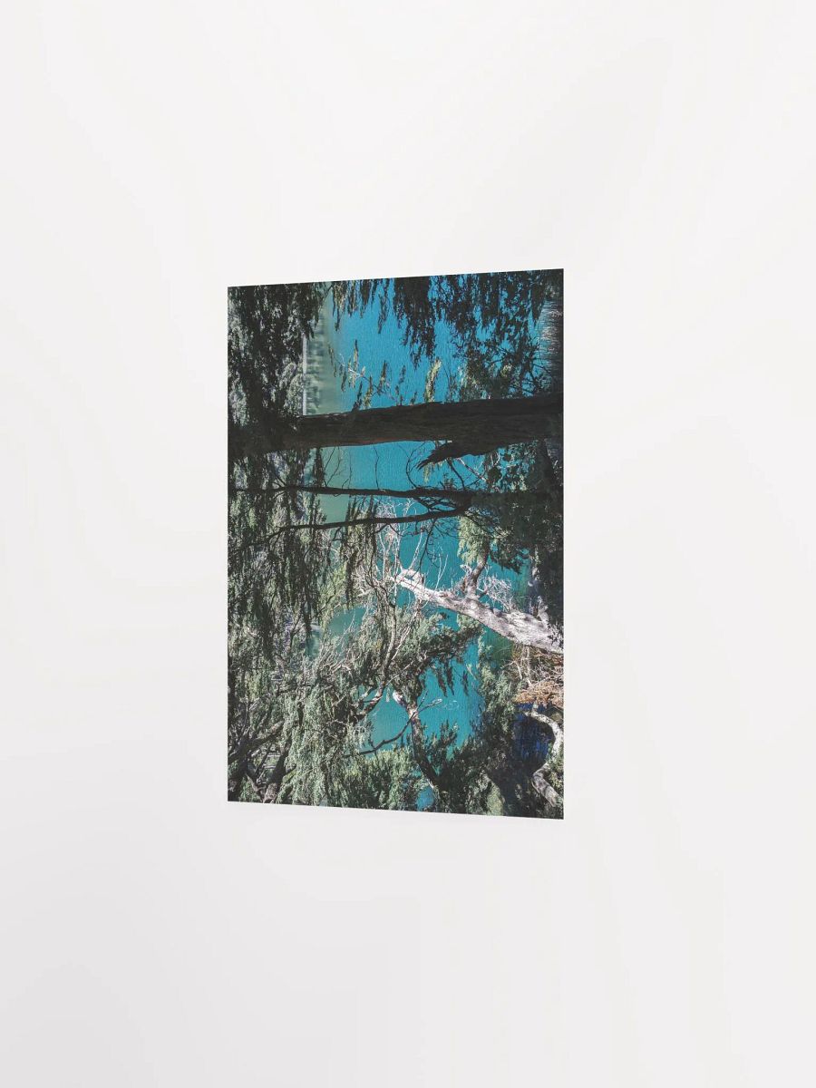 Lago Espejo Patagonia - Enhanced Matte Paper Poster product image (3)
