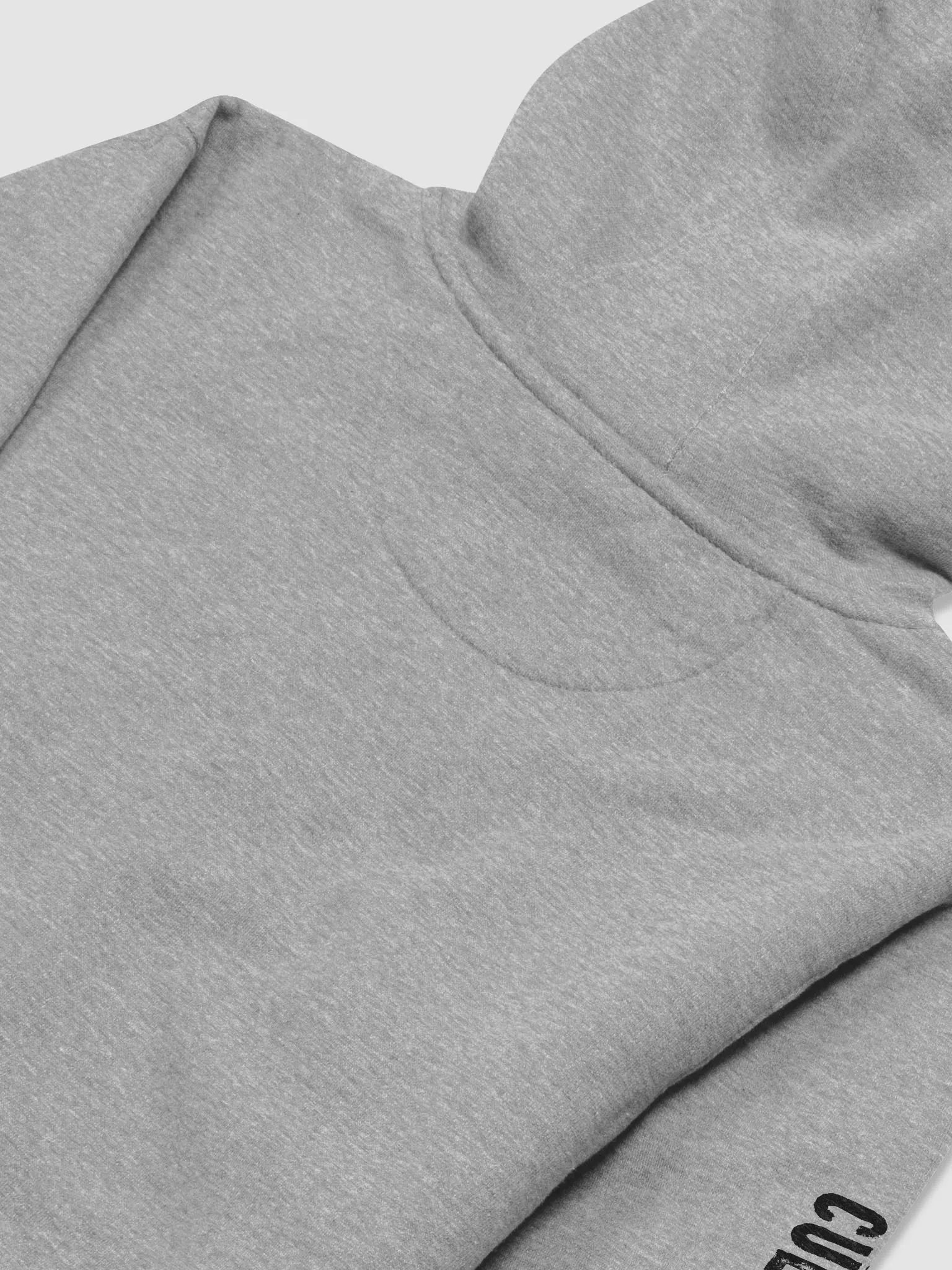 I'm POE but I'm PROUD hoodie product image (4)