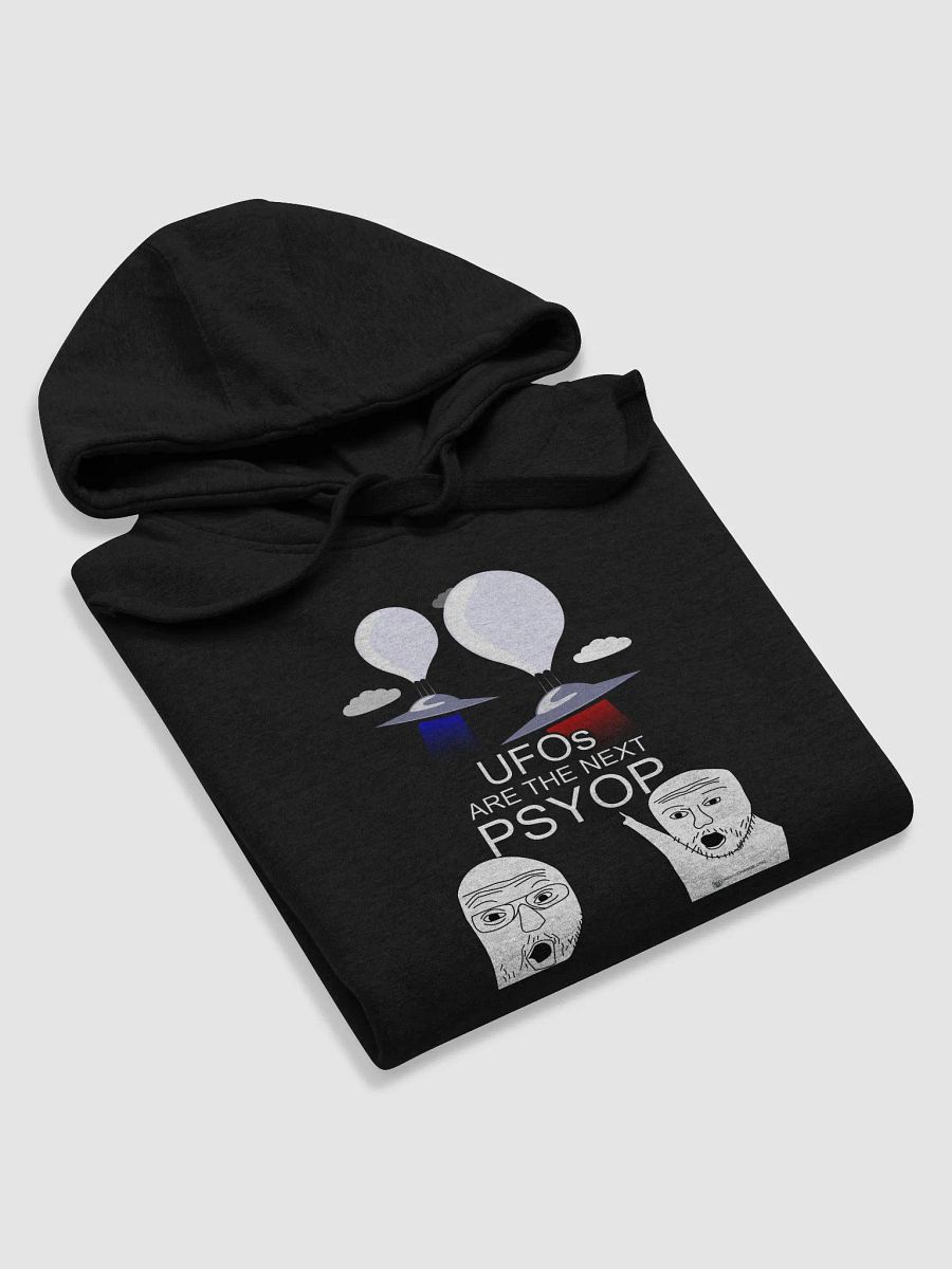UFOs Are The Next Psyop Hoodie product image (5)