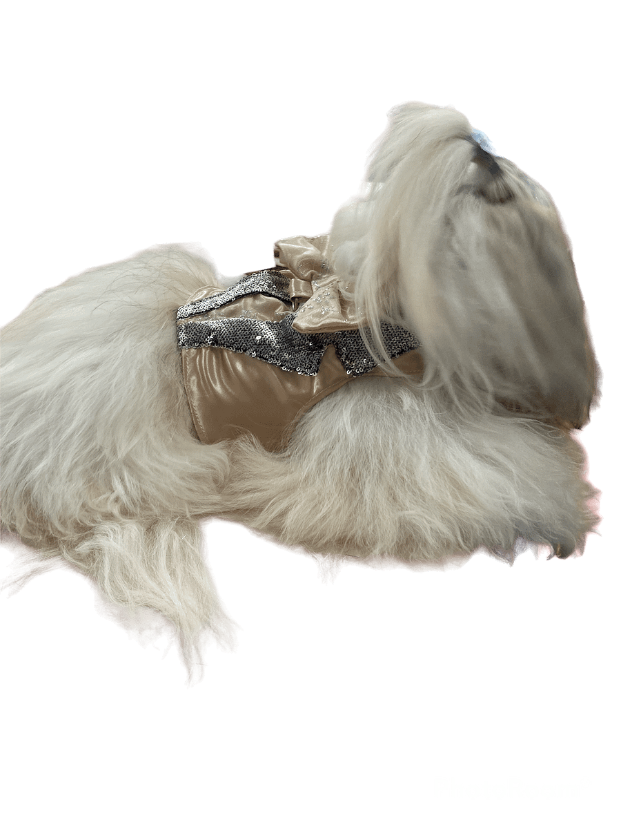 Smoking Star Fashion - Modelagem Pet PDF product image (3)