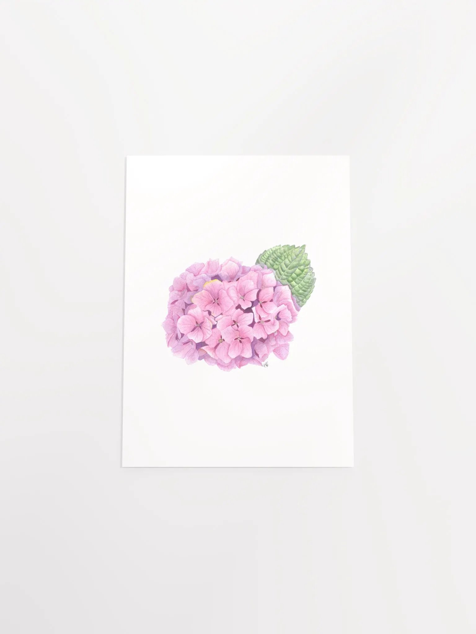 Purple Hydrangea Delight - print product image (4)
